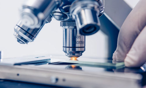 Customer Satisfaction Icon